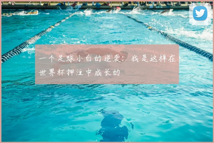 一个足球小白的逆袭:我是这样在世界杯押注中成长的
