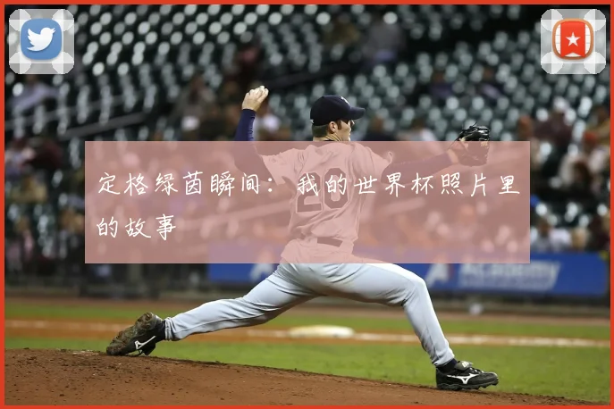 定格绿茵瞬间：我的世界杯照片里的故事