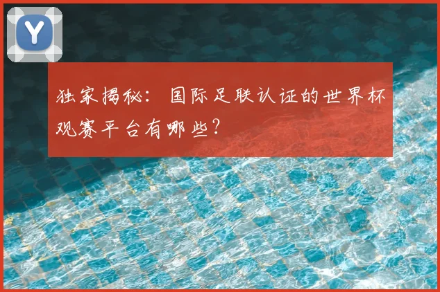独家揭秘:国际足联认证的世界杯观赛平台有哪些?