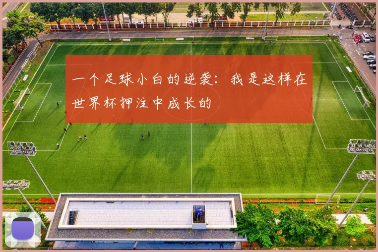 一个足球小白的逆袭:我是这样在世界杯押注中成长的