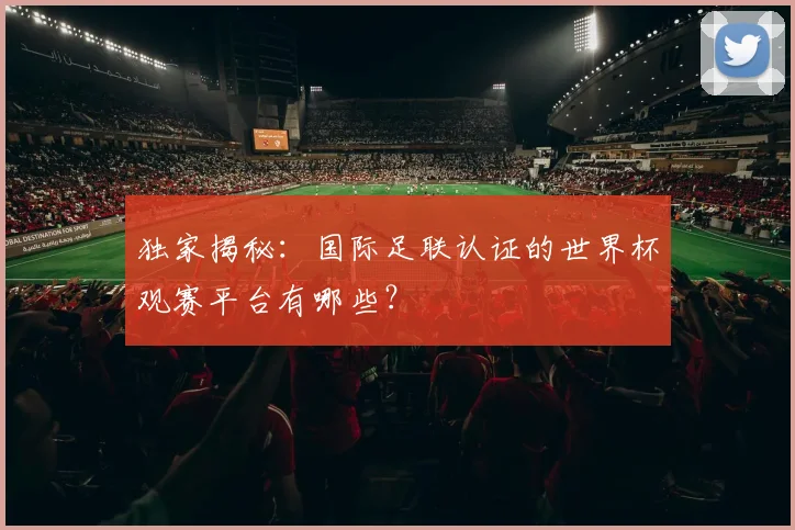 独家揭秘:国际足联认证的世界杯观赛平台有哪些?