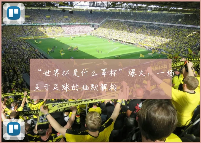 “世界杯是什么罩杯”爆火,一场关于足球的幽默解构