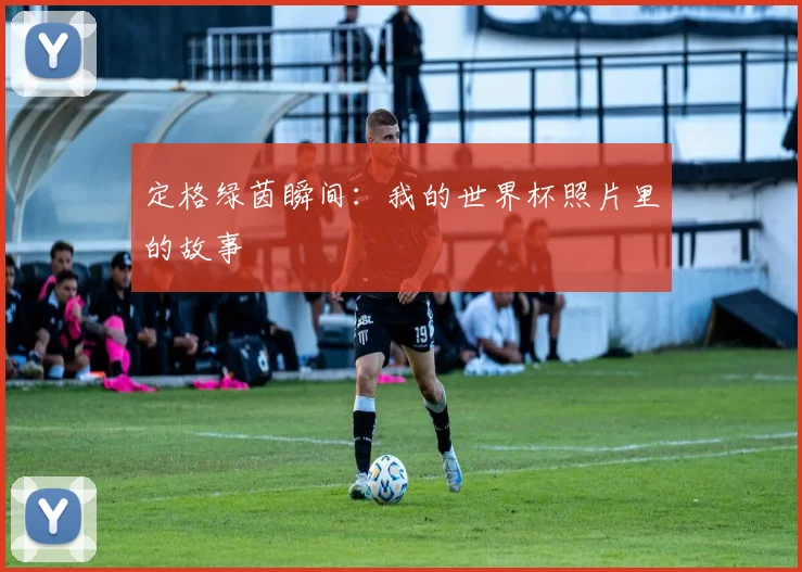 定格绿茵瞬间:我的世界杯照片里的故事