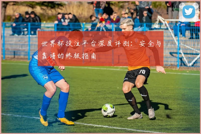 世界杯投注平台深度评测：安全与靠谱的终极指南