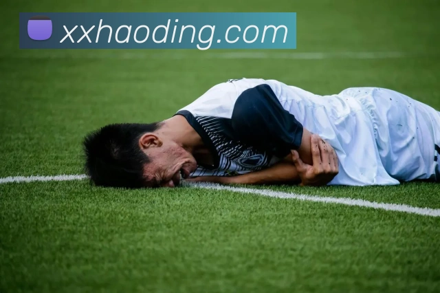 mksports在线登录入口平台生态图